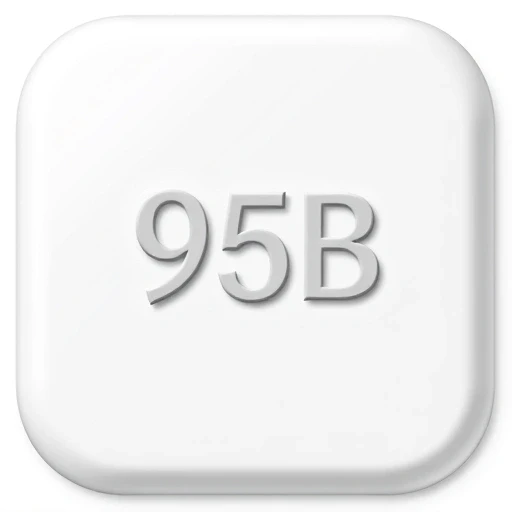95b.com